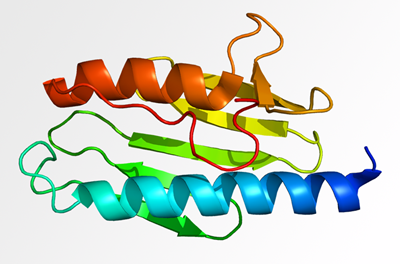 frataxin protein